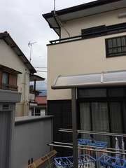 20141020164553.JPG