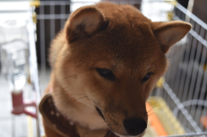 201541115210.JPG